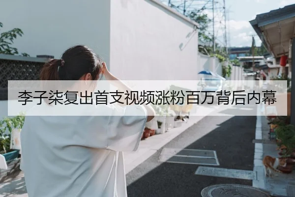 李子柒复出首支视频涨粉百万背后内幕
